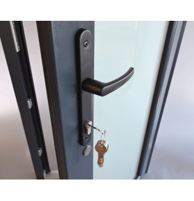 Porta Exterior PVC Vidro Fosco 90x200cm Antracite Esquerda